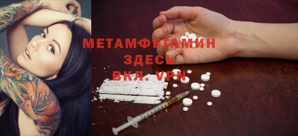сатива Козловка