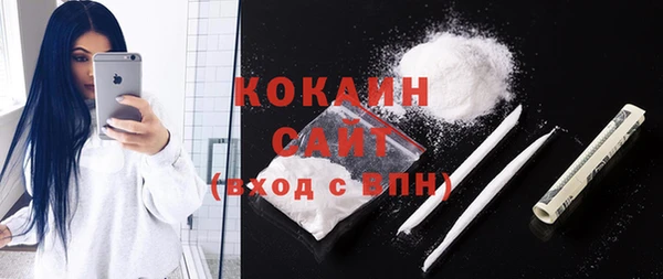 индика Кинешма