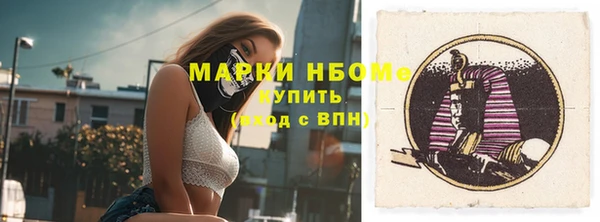 сатива Козловка