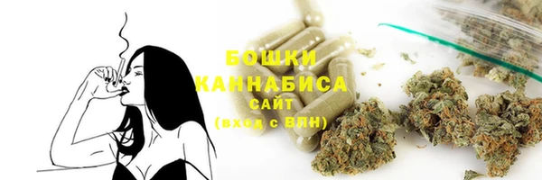 прущие крисы Козельск