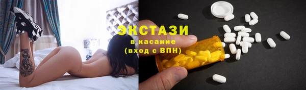 индика Кинешма