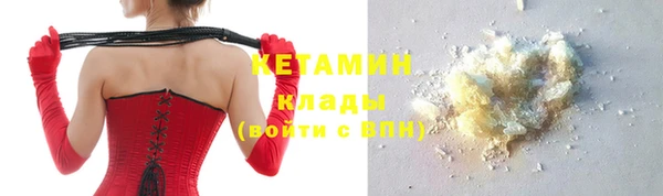 сатива Козловка