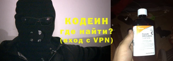 индика Кинешма