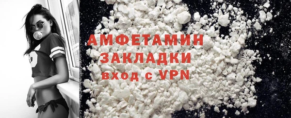 индика Кинешма