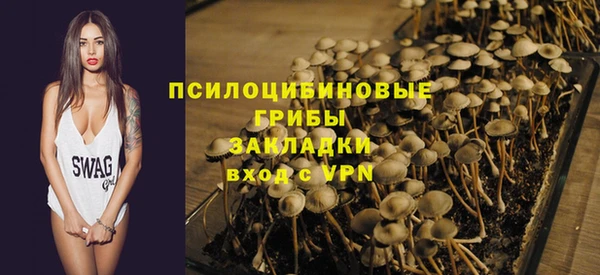 прущая мука Кодинск