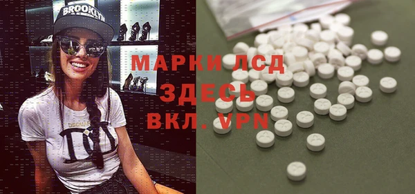 индика Кинешма