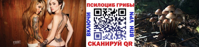 Псилоцибиновые грибы MAGIC MUSHROOMS  Купить закладки  Невьянск 